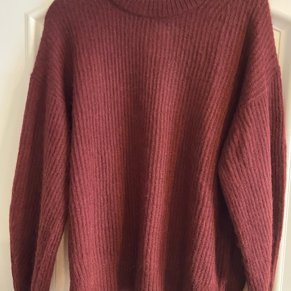 Everlane Rich Burgundy Turtleneck Sweater